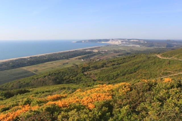 Avó das Bolachas 10 Nazaré Exterior foto